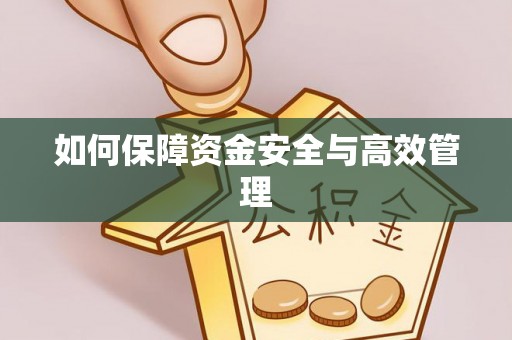 丹凤如何保障资金安全与高效管理