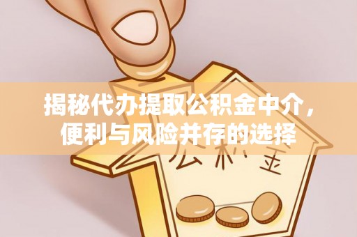 丹凤揭秘代办提取公积金中介，便利与风险并存的选择