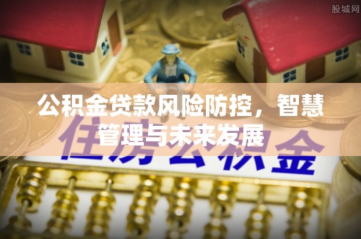 丹凤公积金贷款风险防控，智慧管理与未来发展