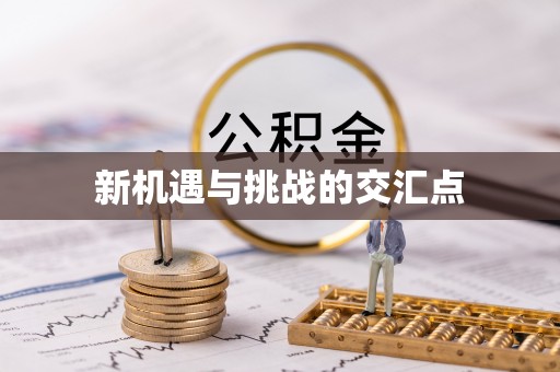 丹凤新机遇与挑战的交汇点