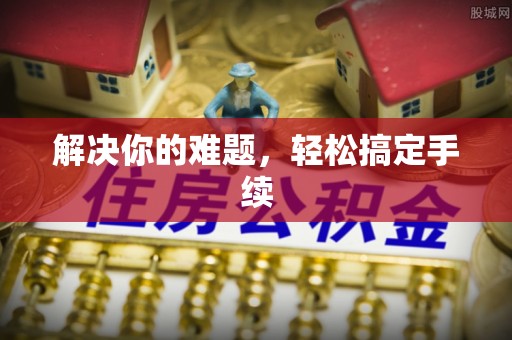 丹凤解决你的难题，轻松搞定手续