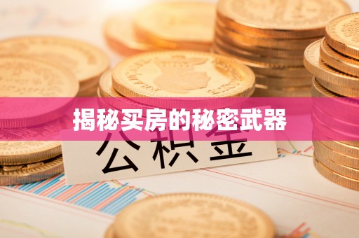 丹凤揭秘买房的秘密武器