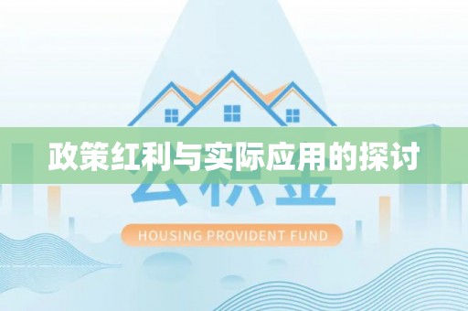 丹凤政策红利与实际应用的探讨