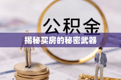 丹凤揭秘买房的秘密武器