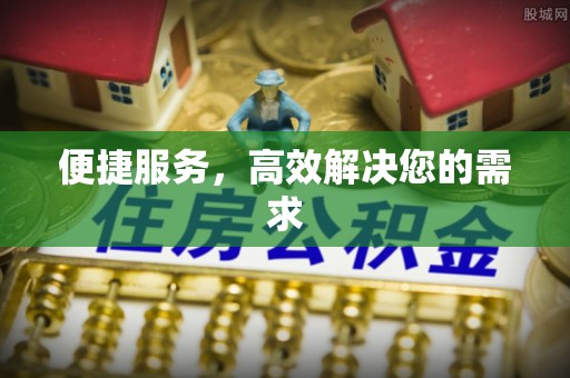 丹凤便捷服务，高效解决您的需求
