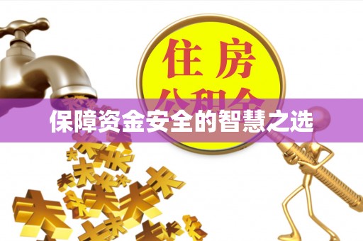丹凤保障资金安全的智慧之选