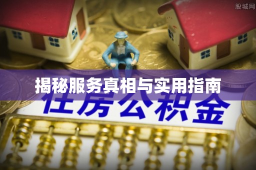 丹凤揭秘服务真相与实用指南