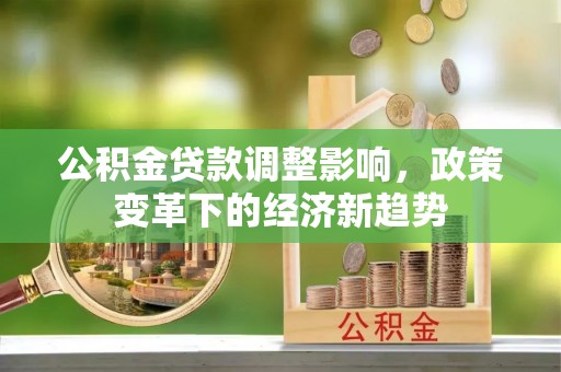 丹凤公积金贷款调整影响，政策变革下的经济新趋势