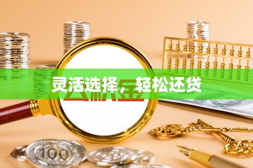 丹凤灵活选择，轻松还贷