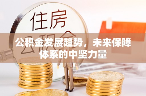 丹凤公积金发展趋势，未来保障体系的中坚力量