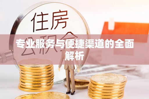 丹凤专业服务与便捷渠道的全面解析