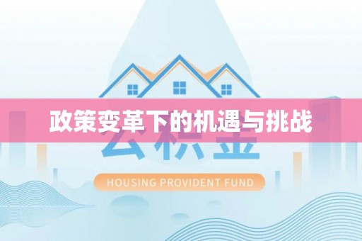 丹凤政策变革下的机遇与挑战