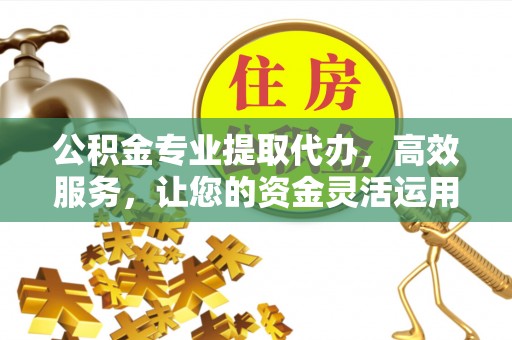 丹凤公积金专业提取代办，高效服务，让您的资金灵活运用